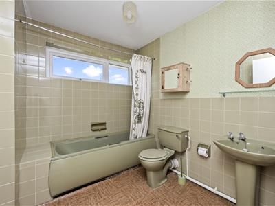 Picture 15